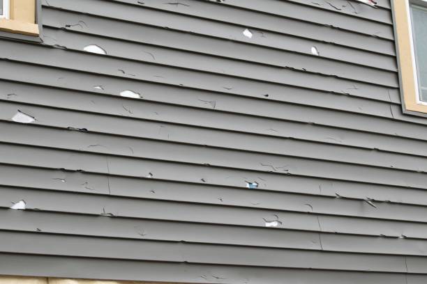 Best Junk Removal for Events  in Westville, IN