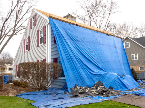 Best Shed Removal  in Westville, IN