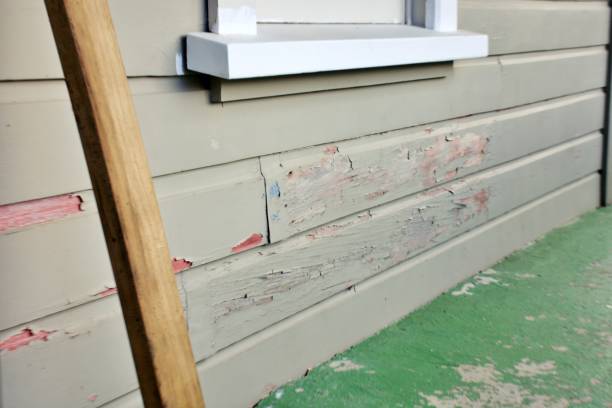 Best Hoarding Cleanup  in Westville, IN